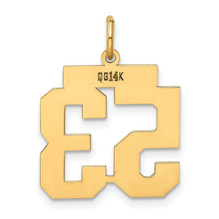 14k Yellow Gold Medium Polished Number 53 Charm LM53