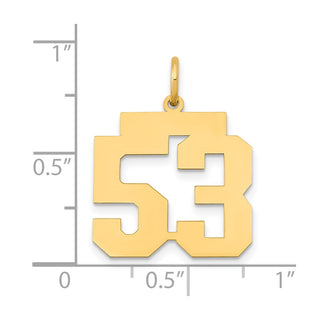 14k Yellow Gold Medium Polished Number 53 Charm LM53