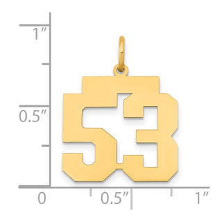 14k Yellow Gold Medium Polished Number 53 Charm LM53