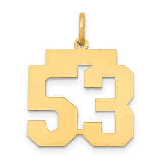 14k Yellow Gold Medium Polished Number 53 Charm LM53