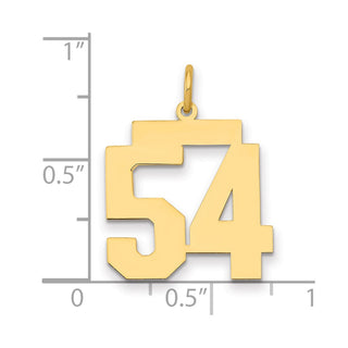 14k Yellow Gold Medium Polished Number 54 Charm LM54