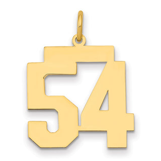 14k Yellow Gold Medium Polished Number 54 Charm LM54