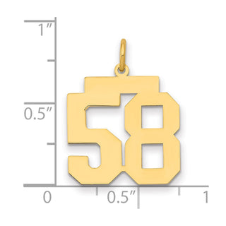 14k Yellow Gold Medium Polished Number 58 Charm LM58