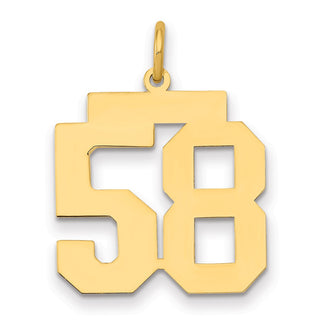 14k Yellow Gold Medium Polished Number 58 Charm LM58