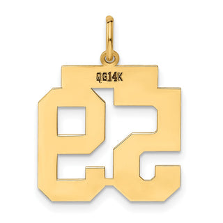 14k Yellow Gold Medium Polished Number 59 Charm LM59