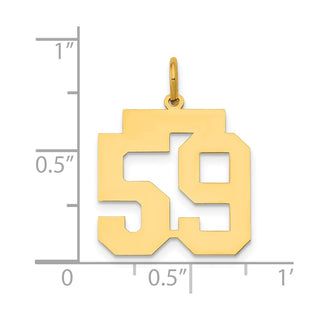 14k Yellow Gold Medium Polished Number 59 Charm LM59