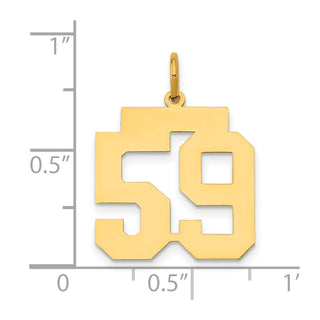 14k Yellow Gold Medium Polished Number 59 Charm LM59