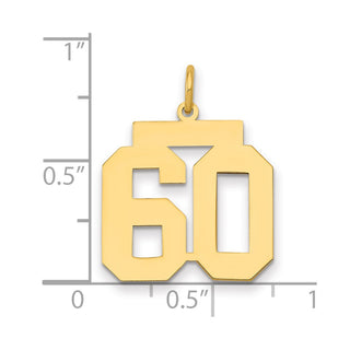 14k Yellow Gold Medium Polished Number 60 Charm LM60