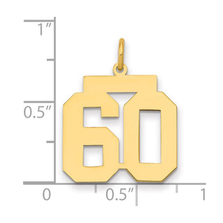 14k Yellow Gold Medium Polished Number 60 Charm LM60