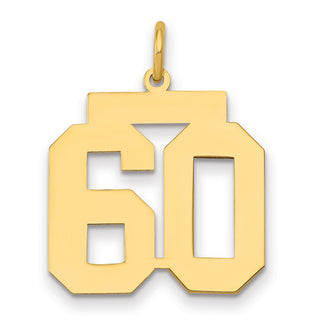 14k Yellow Gold Medium Polished Number 60 Charm LM60