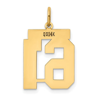 14k Yellow Gold Medium Polished Number 61 Charm LM61