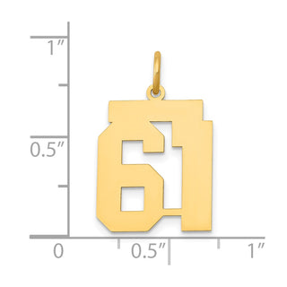 14k Yellow Gold Medium Polished Number 61 Charm LM61