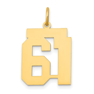 14k Yellow Gold Medium Polished Number 61 Charm LM61