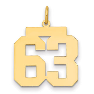 14k Yellow Gold Medium Polished Number 63 Charm LM63