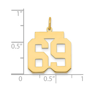 14k Yellow Gold Medium Polished Number 69 Charm LM69