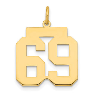 14k Yellow Gold Medium Polished Number 69 Charm LM69