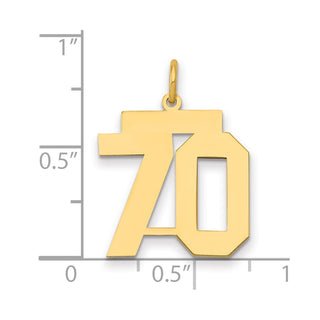 14k Yellow Gold Medium Polished Number 70 Charm LM70