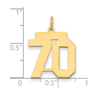 14k Yellow Gold Medium Polished Number 70 Charm LM70
