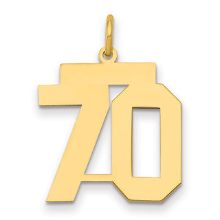 14k Yellow Gold Medium Polished Number 70 Charm LM70