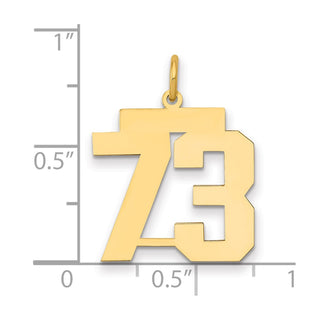 14k Yellow Gold Medium Polished Number 73 Charm LM73