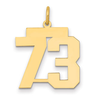 14k Yellow Gold Medium Polished Number 73 Charm LM73
