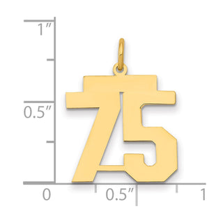 14k Yellow Gold Medium Polished Number 75 Charm LM75
