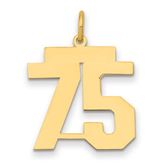 14k Yellow Gold Medium Polished Number 75 Charm LM75