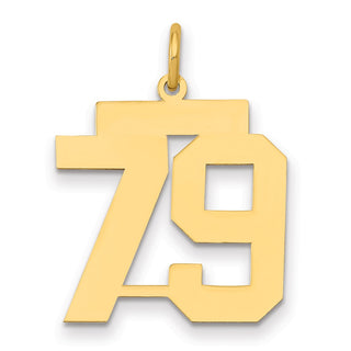 14k Yellow Gold Medium Polished Number 79 Charm LM79
