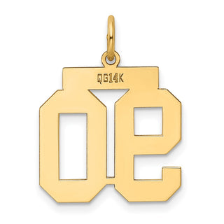 14k Yellow Gold Medium Polished Number 90 Charm LM90