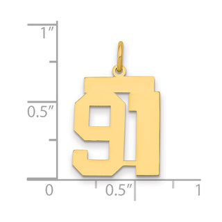 14k Yellow Gold Medium Polished Number 91 Charm LM91