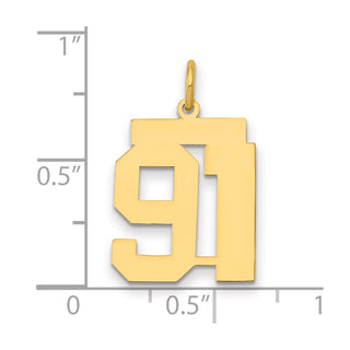 14k Yellow Gold Medium Polished Number 91 Charm LM91