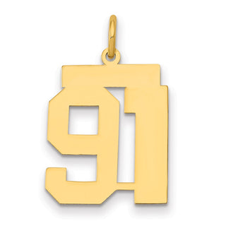 14k Yellow Gold Medium Polished Number 91 Charm LM91