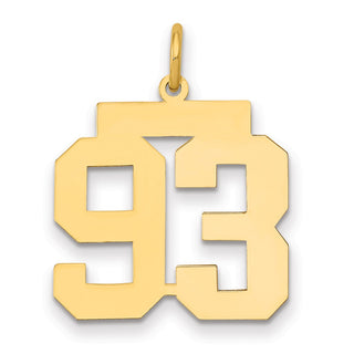 14k Yellow Gold Medium Polished Number 93 Charm LM93