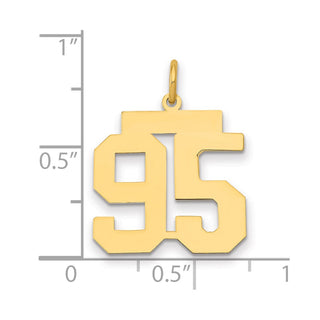 14k Yellow Gold Medium Polished Number 95 Charm LM95