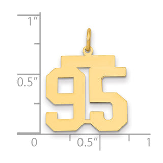 14k Yellow Gold Medium Polished Number 95 Charm LM95