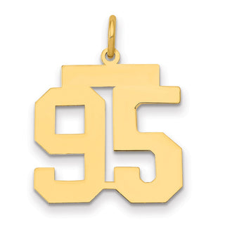 14k Yellow Gold Medium Polished Number 95 Charm LM95