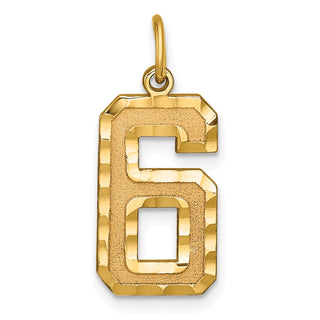 14k Yellow Gold Casted Large Diamond-Cut Number 6 Charm