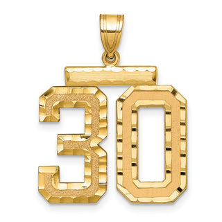 14k Yellow Gold Large Diamond-Cut Number 30 Pendant