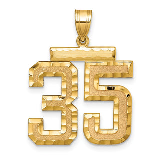 14k Yellow Gold Large Diamond-Cut Number 35 Pendant