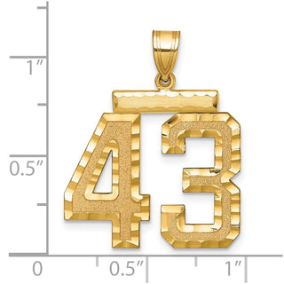 14k Yellow Gold Large Diamond-Cut Number 43 Pendant
