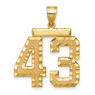 14k Yellow Gold Large Diamond-Cut Number 43 Pendant