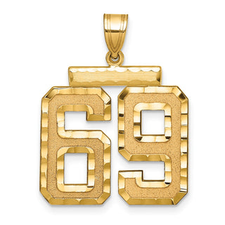 14k Yellow Gold Large Diamond-Cut Number 69 Pendant