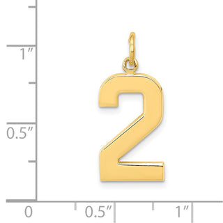 14k Yellow Gold Casted Large Polished Number 2 Charm