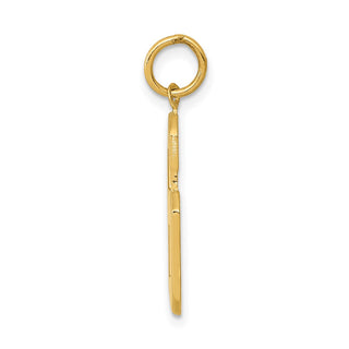 14k Yellow Gold Casted Large Polished Number 6 Charm
