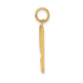 14k Yellow Gold Casted Large Polished Number 9 Charm