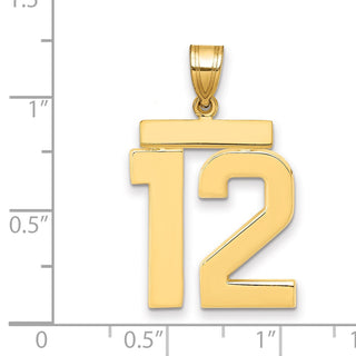 14k Yellow Gold Large Polished Number 12 Charm