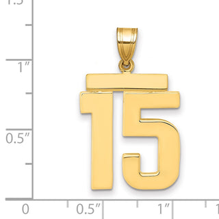 14k Yellow Gold Large Polished Number 15 Charm