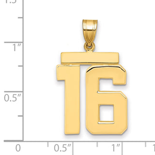 14k Yellow Gold Large Polished Number 16 Charm