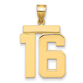 14k Yellow Gold Large Polished Number 16 Charm