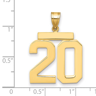 14k Yellow Gold Large Polished Number 20 Charm